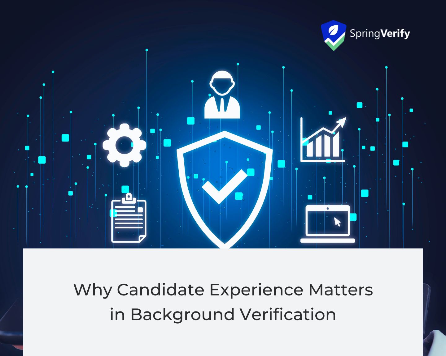 candidate experience